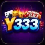Y333 APK
