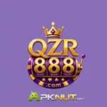 QZR888 APK